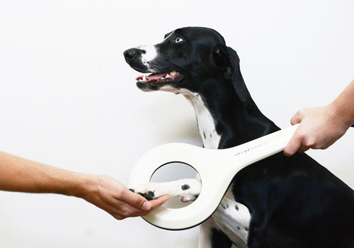 EMTT & Laser lichttherapie